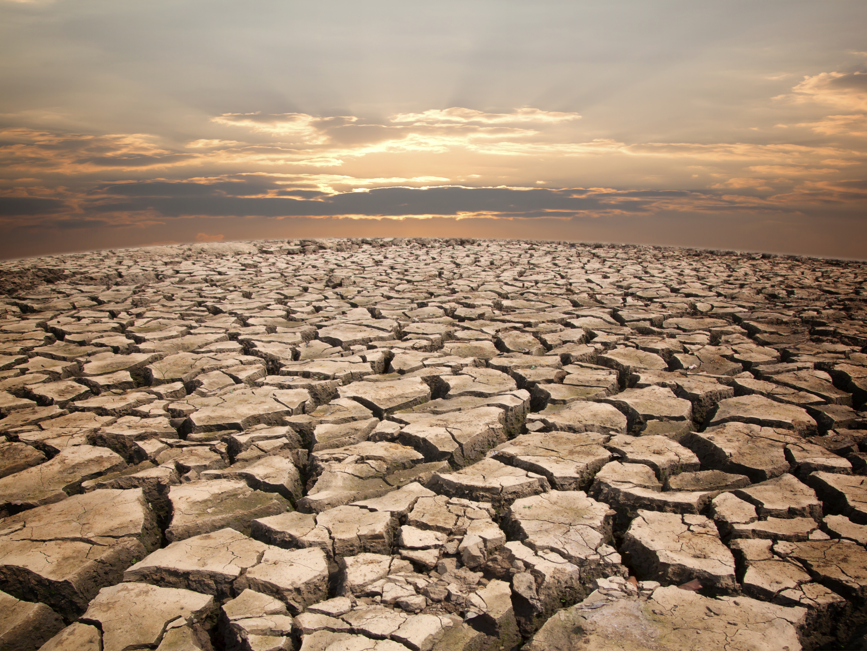 Drought land against sunset background