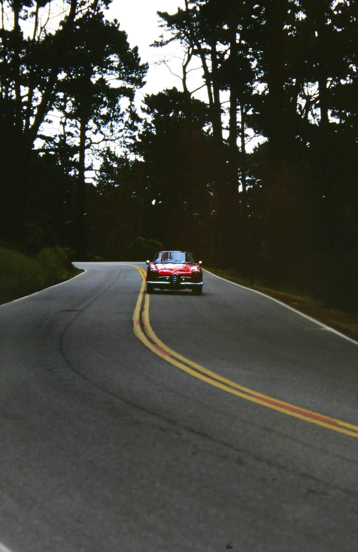 ’64 Alfa Romeo Giulia, 17 Mile Drive, Pebble Beach