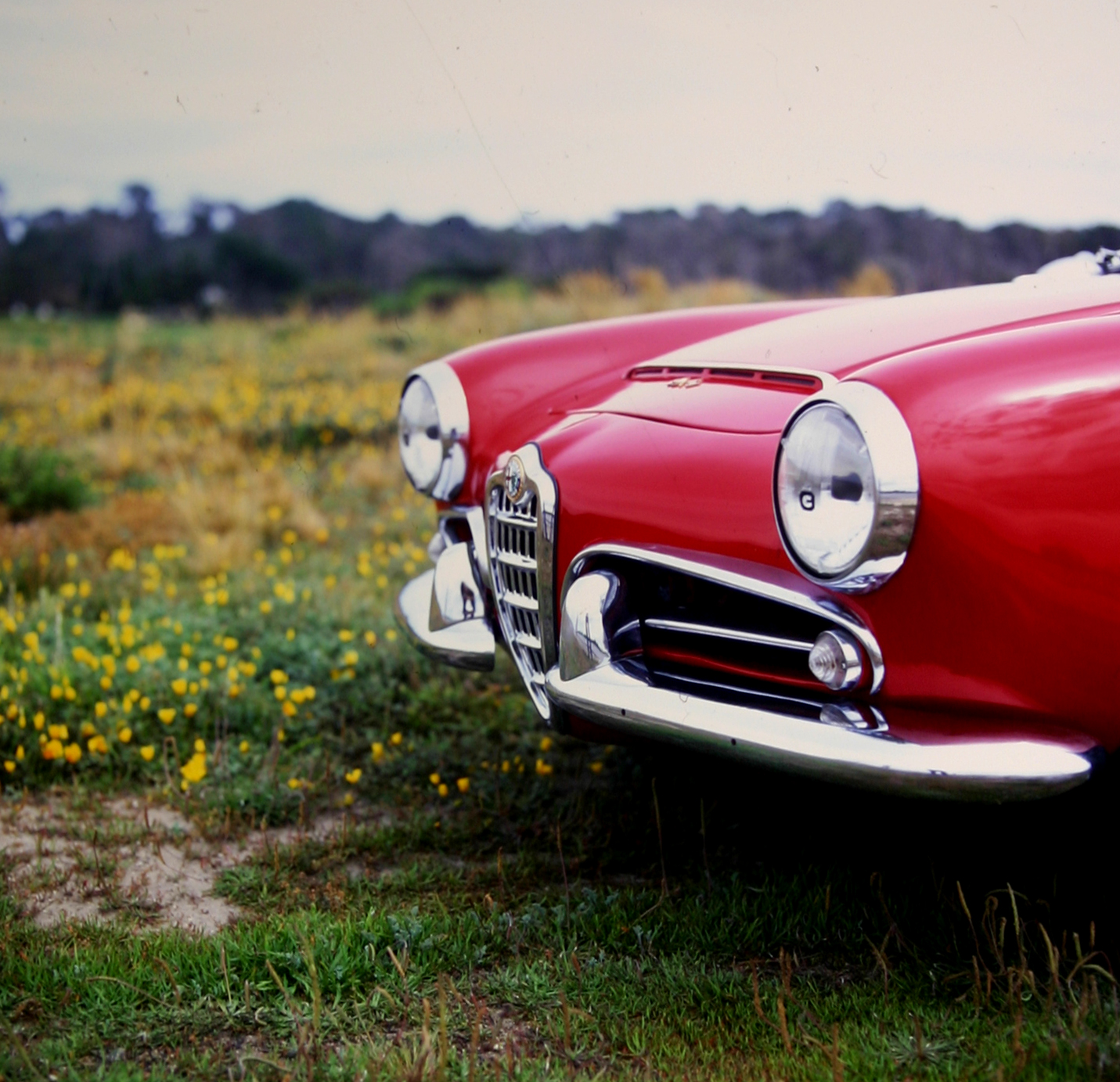 1964 Alfa Rome, Pebble Beach, California